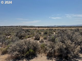 Arrowhead Rd Unit Tl 1400, Christmas Valley OR, 97641 land for sale