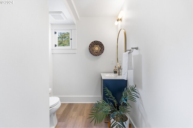 bathroom featuring vanity, toilet, and hardwood / wood-style flooring