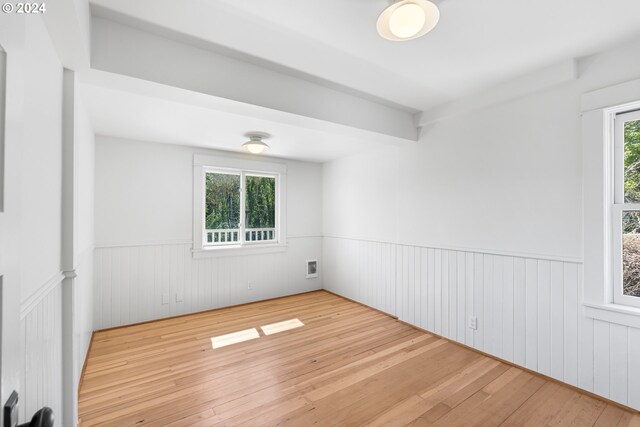 empty room featuring a healthy amount of sunlight and light wood-type flooring