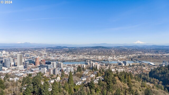 bird's eye view featuring a water and mountain view