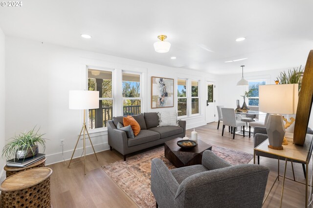 living room featuring light hardwood / wood-style floors and a wealth of natural light