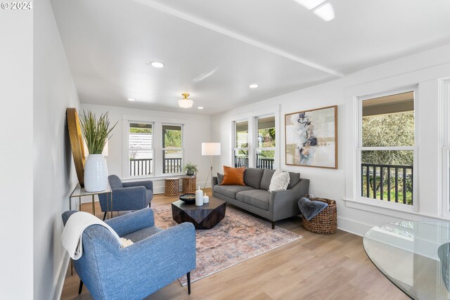 living room featuring light hardwood / wood-style flooring