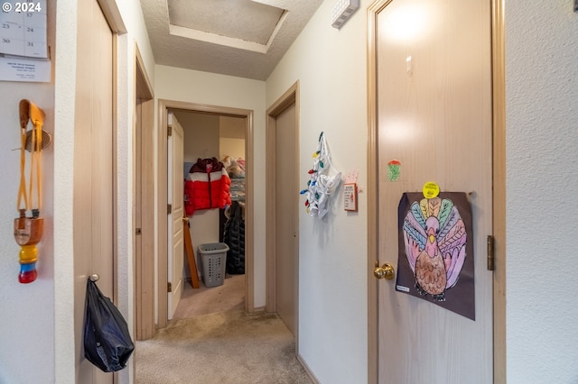 corridor featuring carpet flooring and a textured ceiling