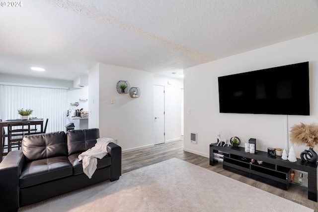 living room featuring wood-type flooring and a textured ceiling