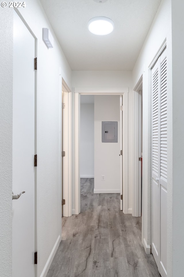 hallway featuring electric panel and light wood-type flooring