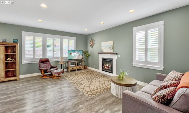 living room featuring wood-type flooring