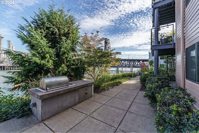 view of patio / terrace with an outdoor kitchen and area for grilling