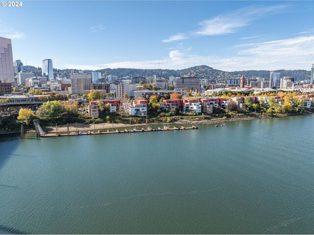 property view of water featuring a mountain view