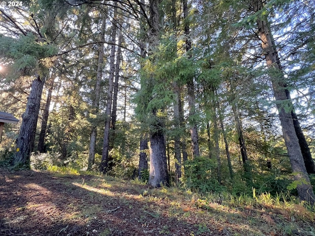 view of local wilderness with a view of trees