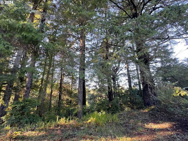 view of local wilderness featuring a forest view