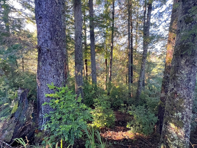 view of nature with a forest view