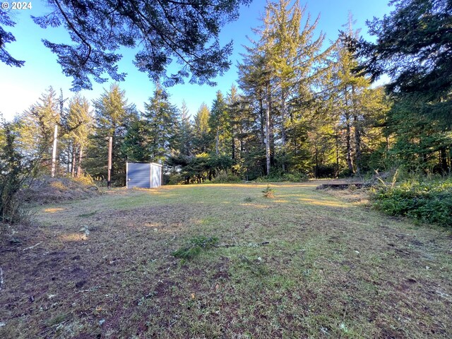 view of yard with a storage shed