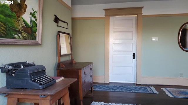 foyer featuring dark hardwood / wood-style flooring