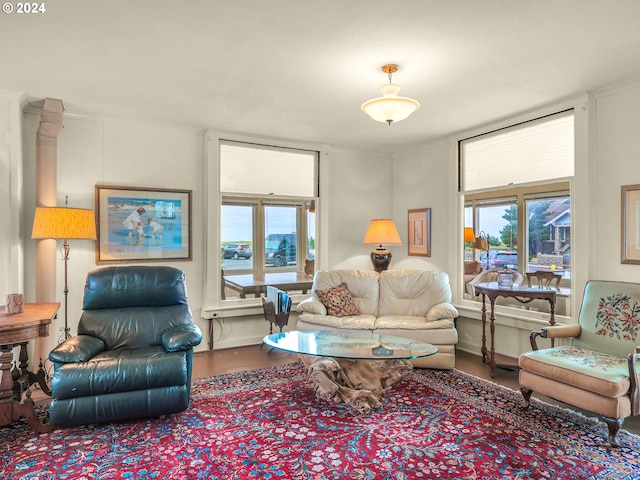 living room featuring hardwood / wood-style floors