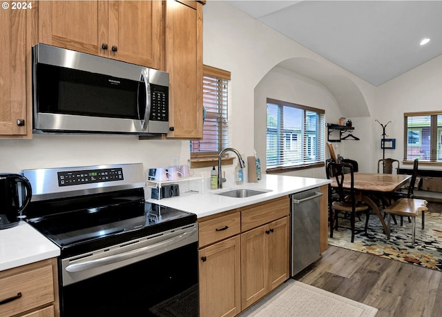 kitchen with plenty of natural light, dark hardwood / wood-style flooring, sink, and stainless steel appliances