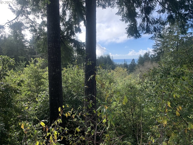 Duley Crk Unit 501/503, Brookings, OR 97415