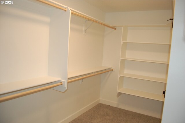 spacious closet with carpet floors