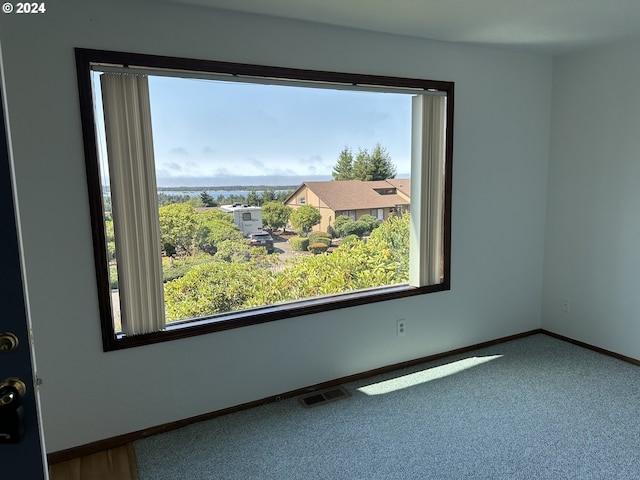 empty room featuring carpet floors and a wealth of natural light