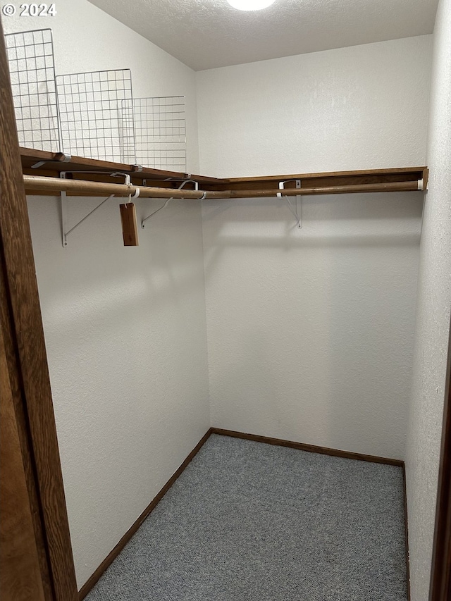 walk in closet with carpet