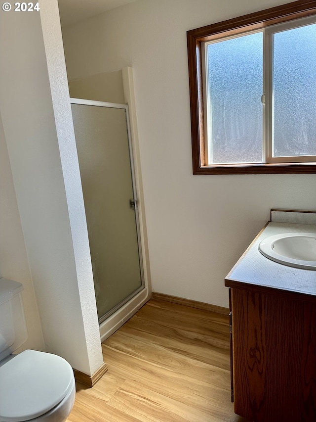 bathroom with walk in shower, vanity, wood-type flooring, and toilet