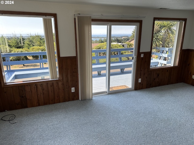 doorway to outside featuring carpet, plenty of natural light, and wooden walls