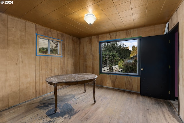 miscellaneous room featuring wooden walls, light hardwood / wood-style flooring, and a wealth of natural light