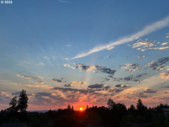 view of nature at dusk
