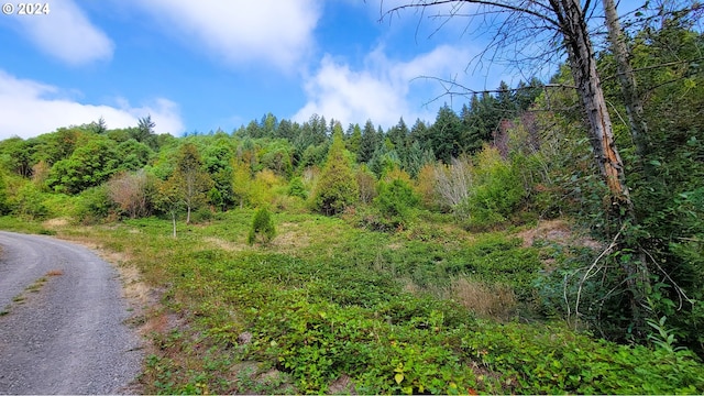 Laurel Butte 4800, Oakridge, OR 97463
