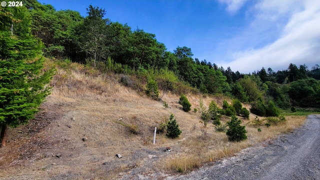 Laurel Butte 4800, Oakridge, OR 97463