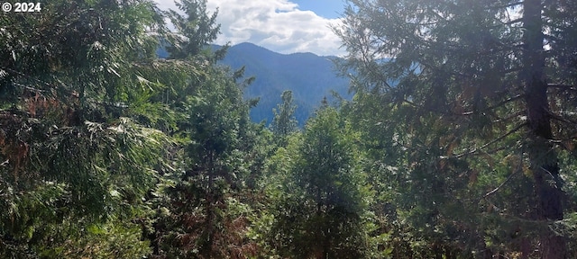 Laurel Butte 4800, Oakridge, OR 97463