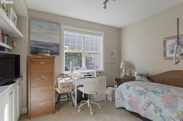 bedroom with light carpet