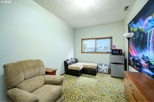 sitting room with a textured ceiling