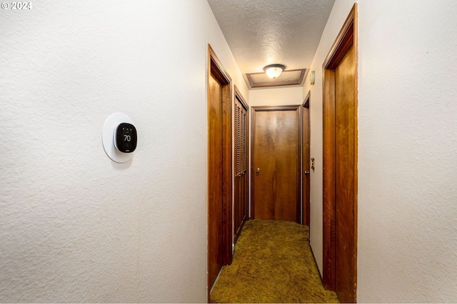 hall featuring carpet and a textured ceiling