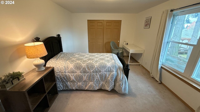 bedroom with carpet and a closet