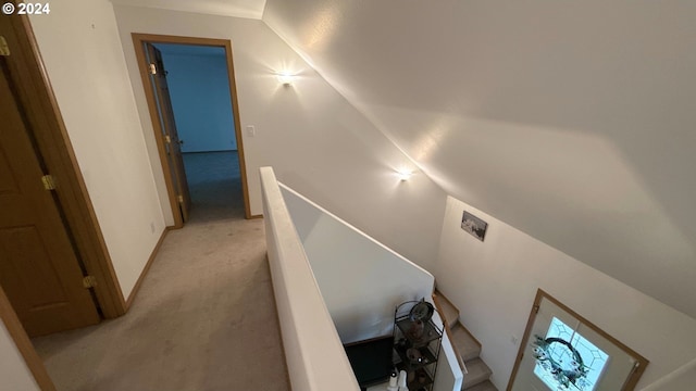 staircase featuring lofted ceiling and carpet floors