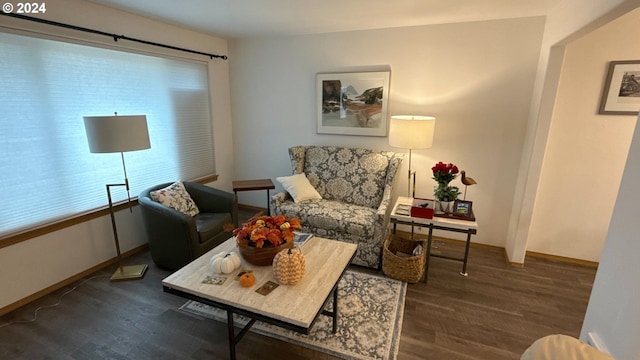 sitting room with dark wood-type flooring