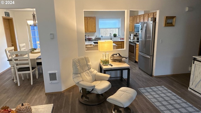 interior space with sink, stainless steel appliances, and dark wood-type flooring