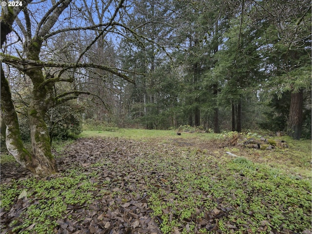 15600 SE Orient Dr, Boring, OR 97009 - view of woods