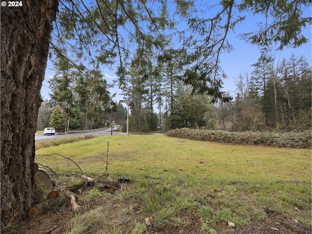 15600 SE Orient Dr, Boring, OR 97009 - view of green lawn