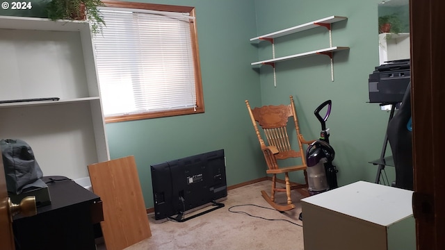 office area featuring light colored carpet