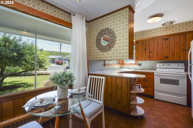 kitchen with white range with electric cooktop and radiator