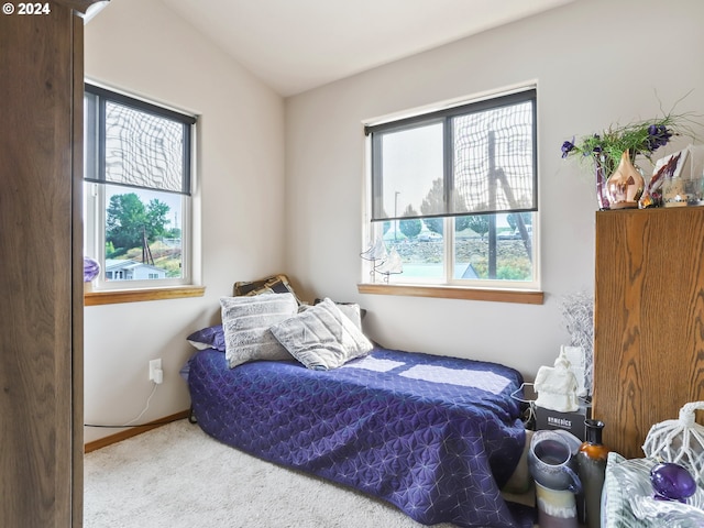 bedroom featuring multiple windows, carpet flooring, and vaulted ceiling