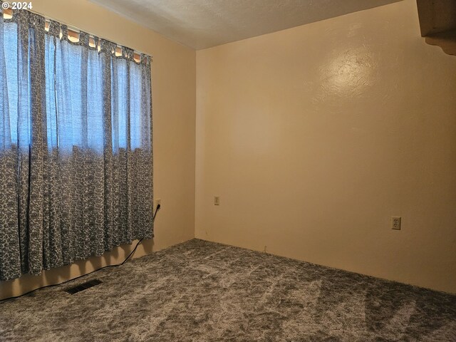 carpeted spare room with a textured ceiling