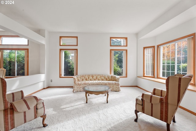 carpeted living room with plenty of natural light