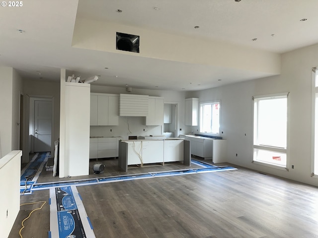 kitchen with white cabinets, dark hardwood / wood-style flooring, and a kitchen island