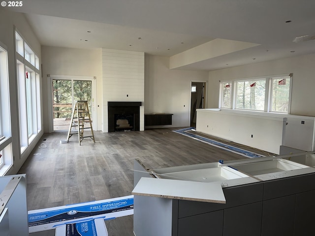 kitchen with a fireplace, hardwood / wood-style flooring, a center island, and a healthy amount of sunlight