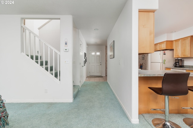 view of carpeted entrance foyer