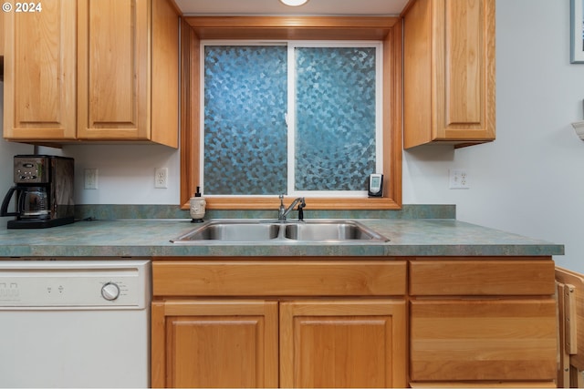 kitchen featuring white dishwasher and sink