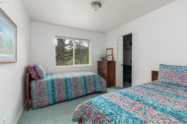 carpeted bedroom with a spacious closet