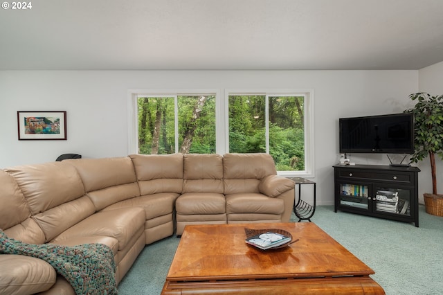 carpeted living room featuring plenty of natural light